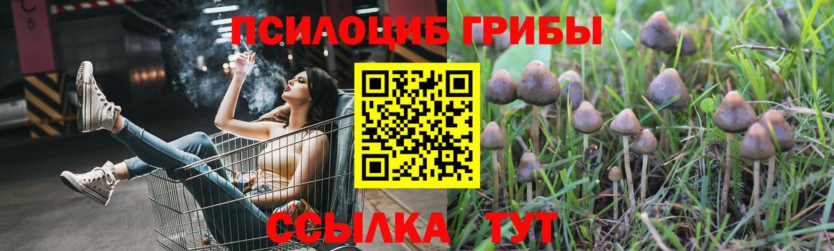Галлюциногенные грибы GOLDEN TEACHER Владимир